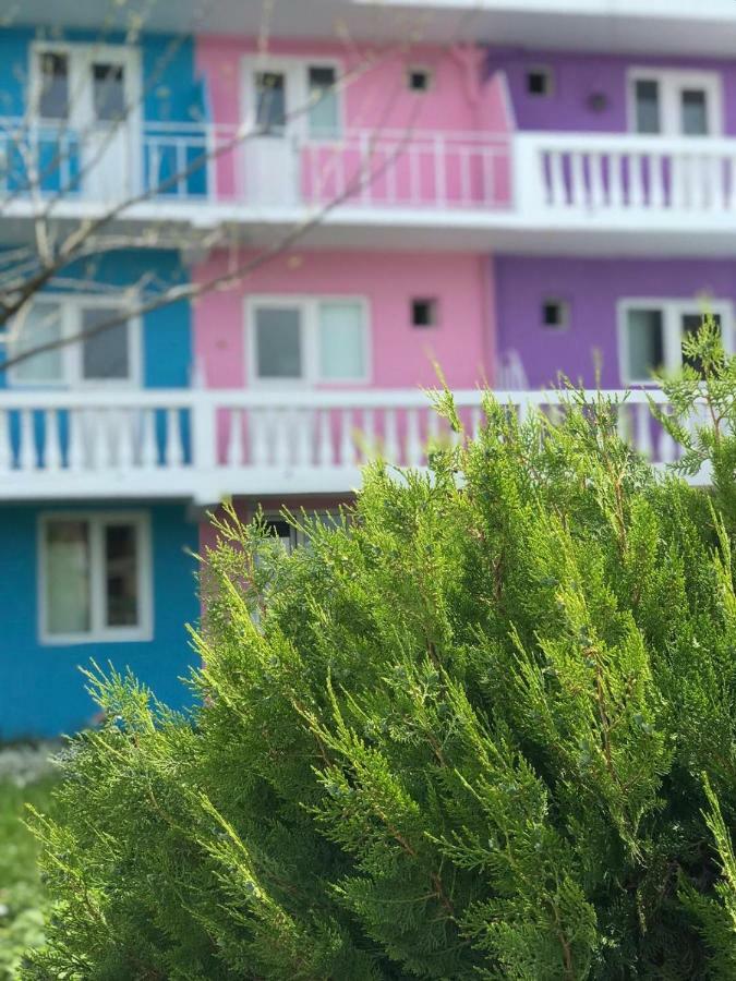 Casa Barbie Costinesti 호스텔 외부 사진